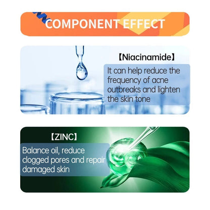 Niacinamide 10% + Zinc 1% (Two Pack)